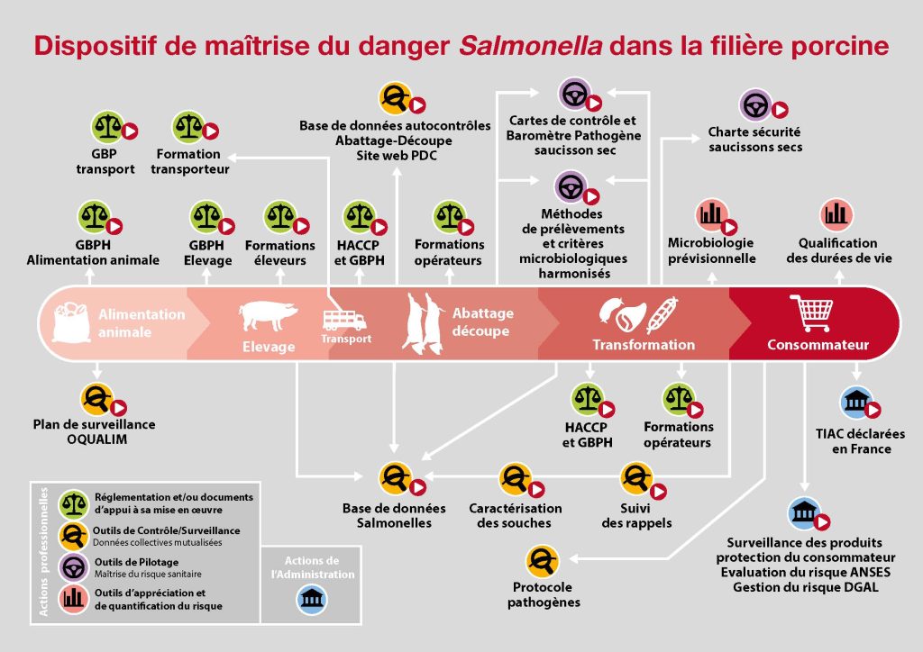 Dispositif Salmonelle 2026 Page 04