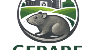 Gerare