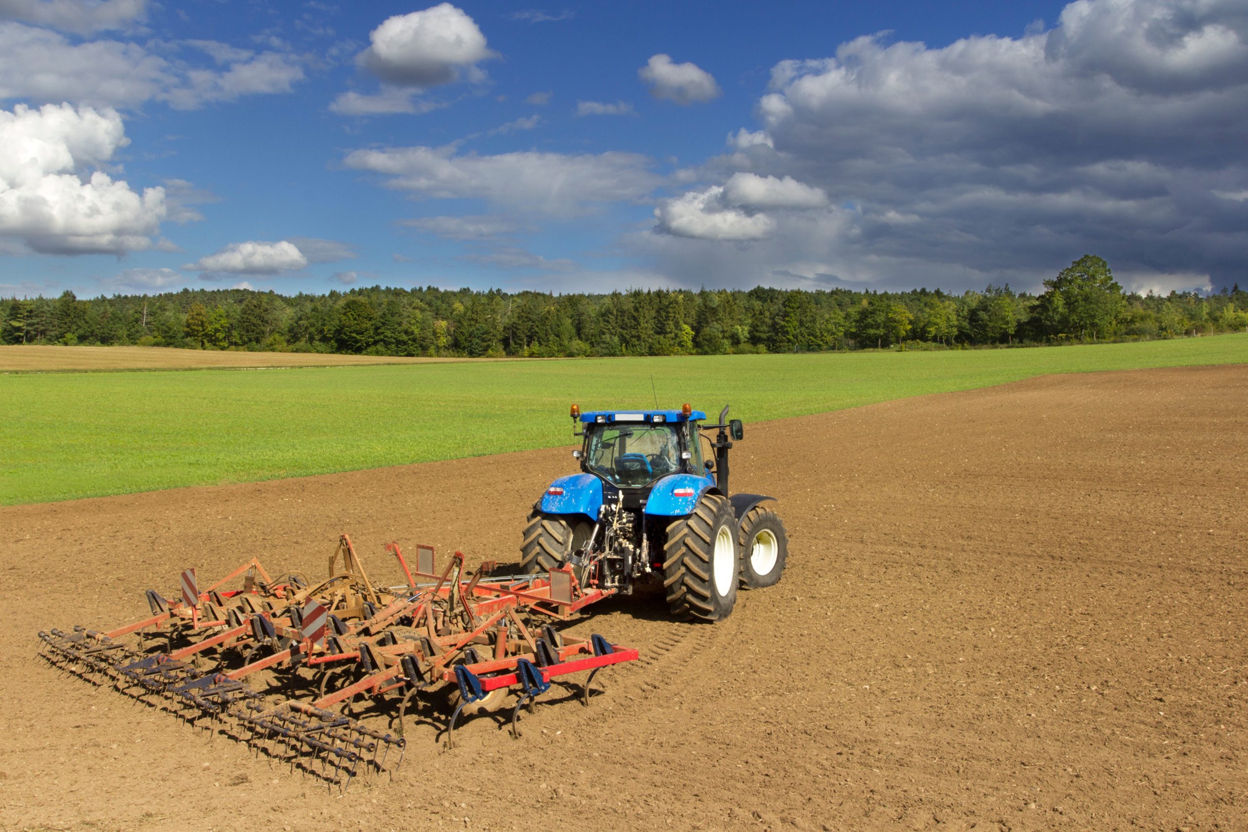Loi Souveraineté Alimentaire