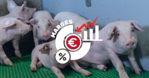 Marges éleveurs 2025