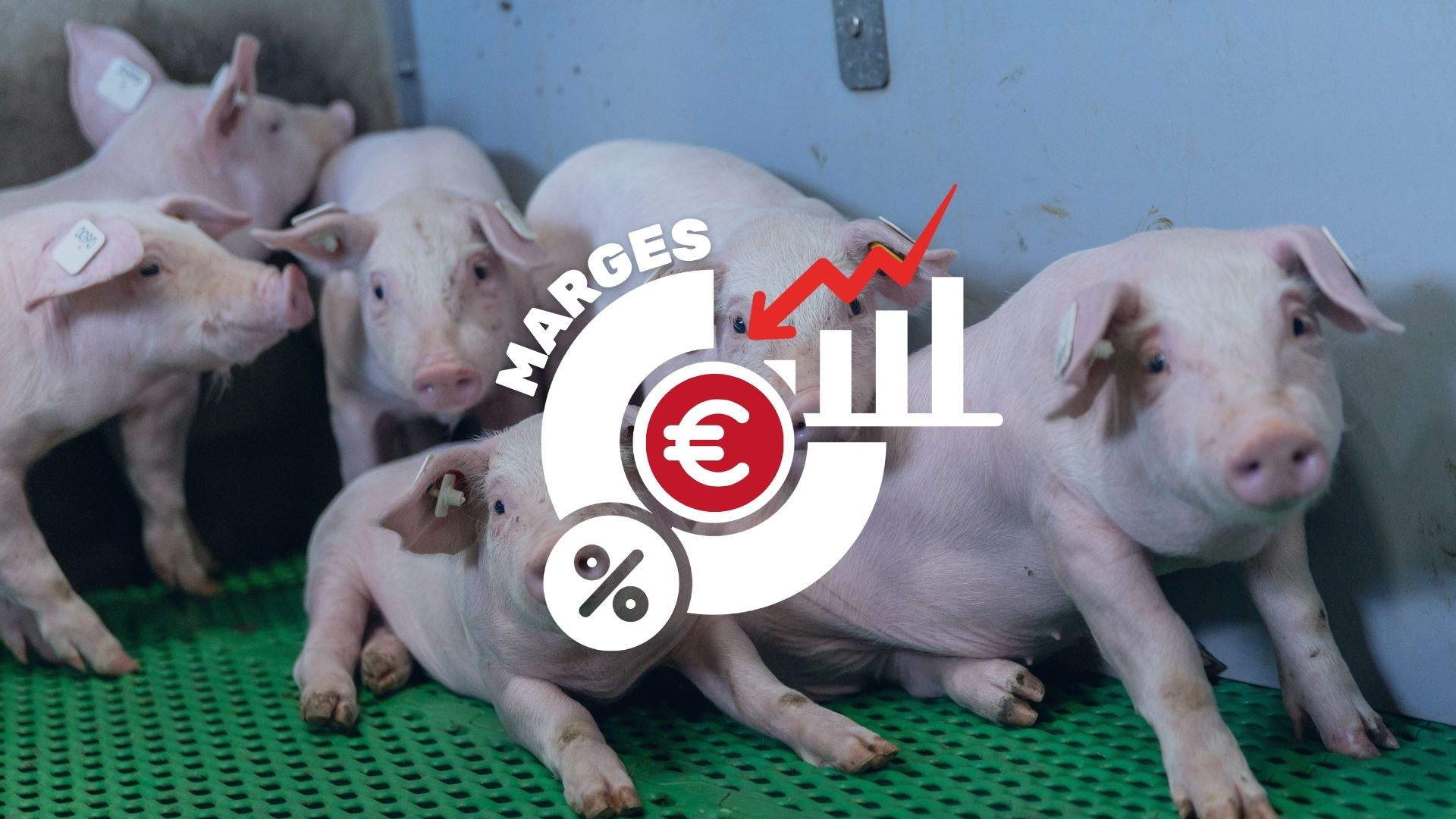 Marges éleveurs 2025