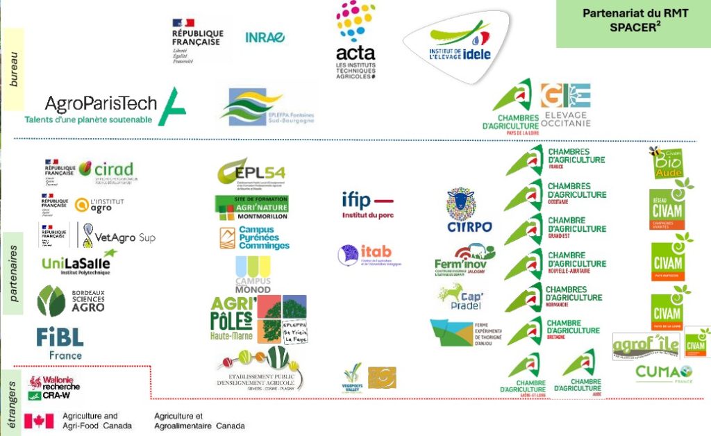 Paretnaires Spacer