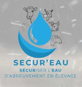 Secureau Petit