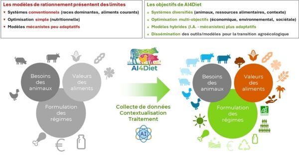 0cdce658ea62 Projet Al4 Diet