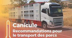 Canicule Transport Entete