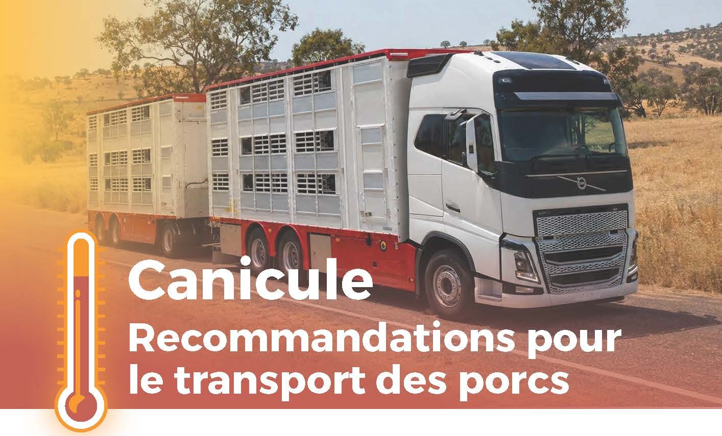 Canicule Transport Entete