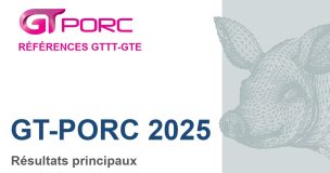 Gtporc26