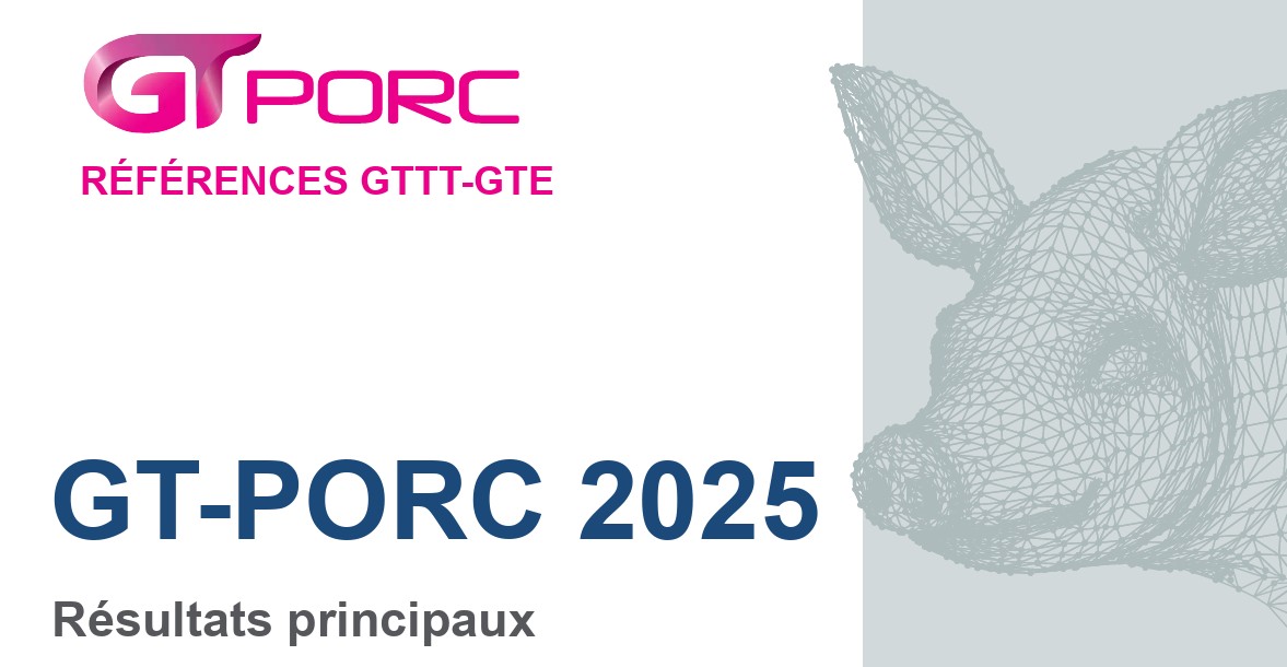 Gtporc26