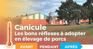 Guide Canicule Elevage Ifip Intro