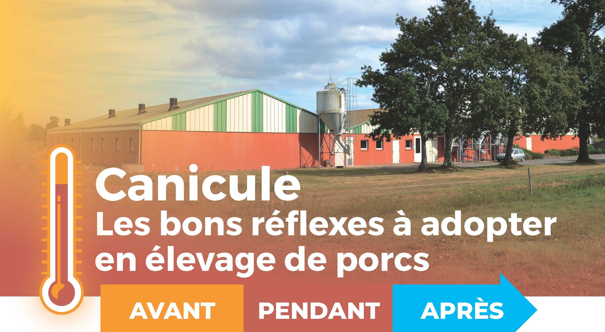 Guide Canicule Elevage Ifip Intro