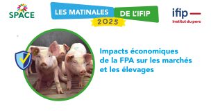 Matinal Ppt 16 92