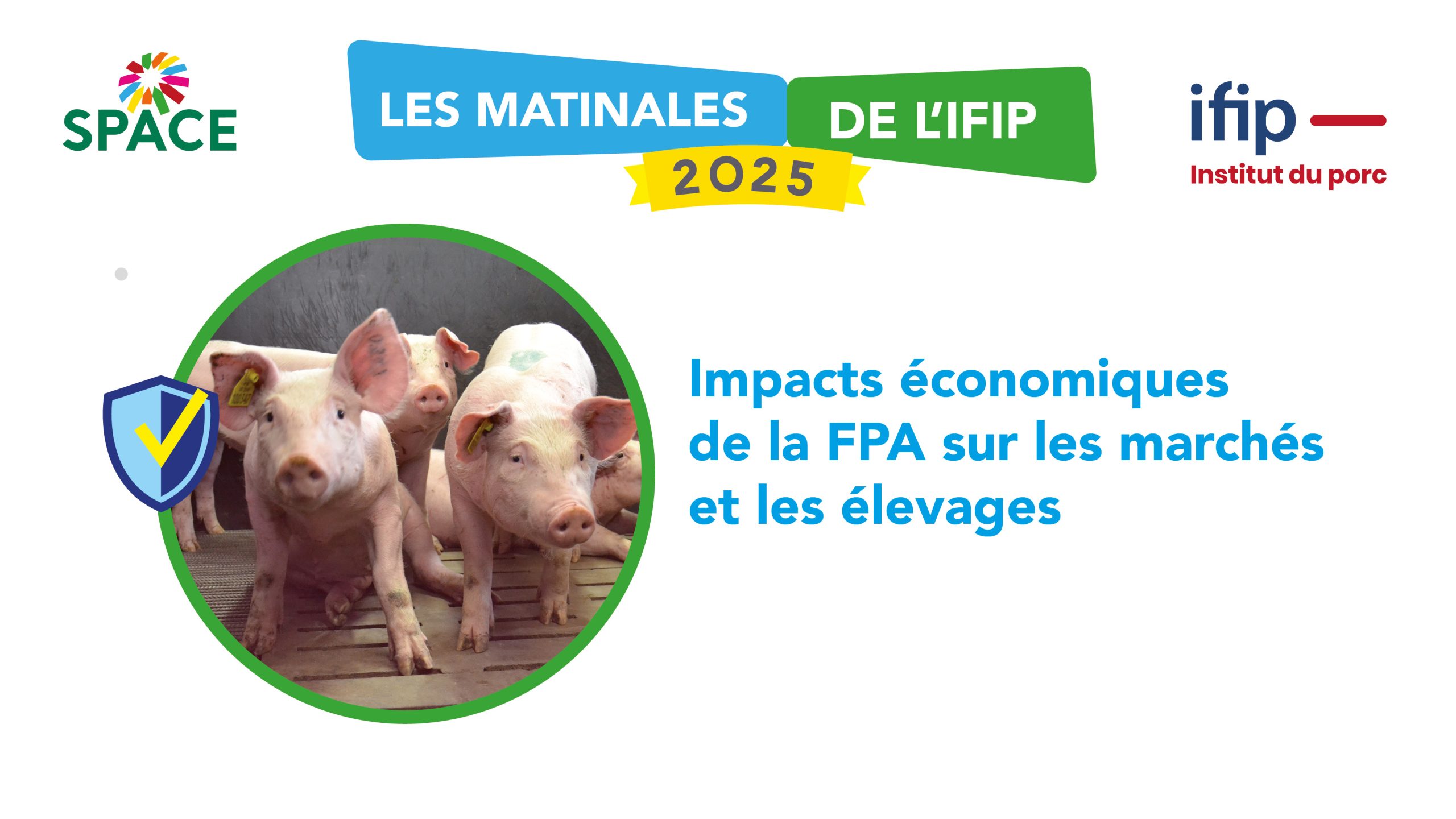 Matinal Ppt 16 92