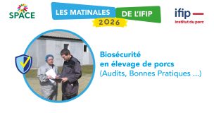 Matinal Ppt 16 94