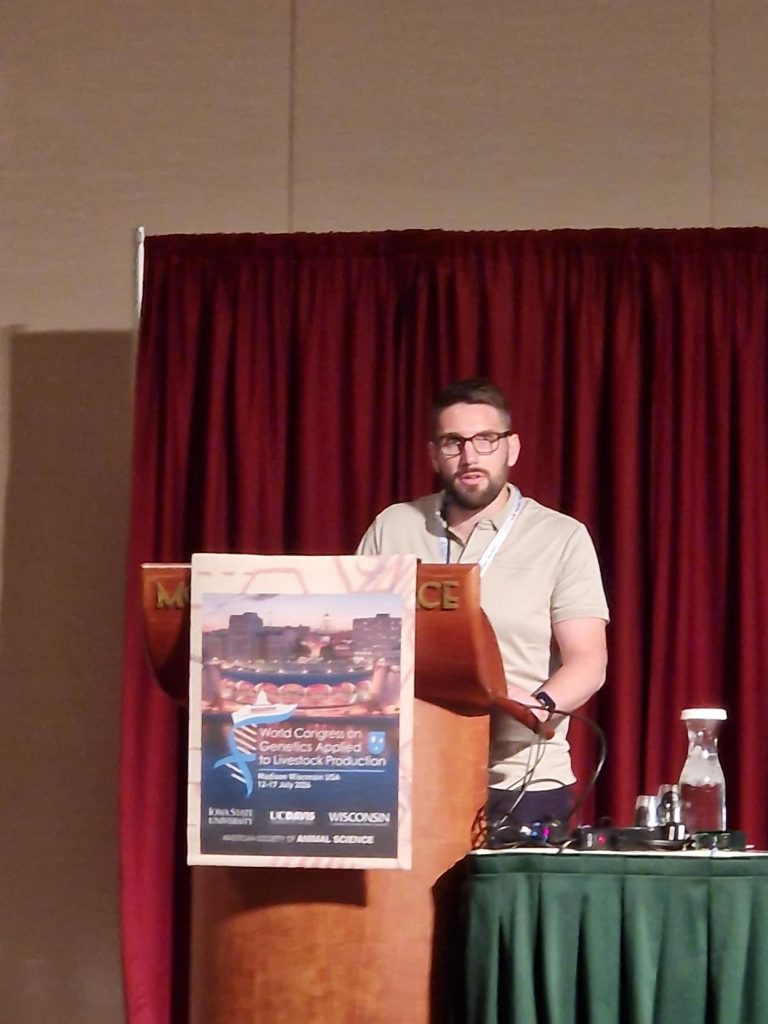 Média (1)