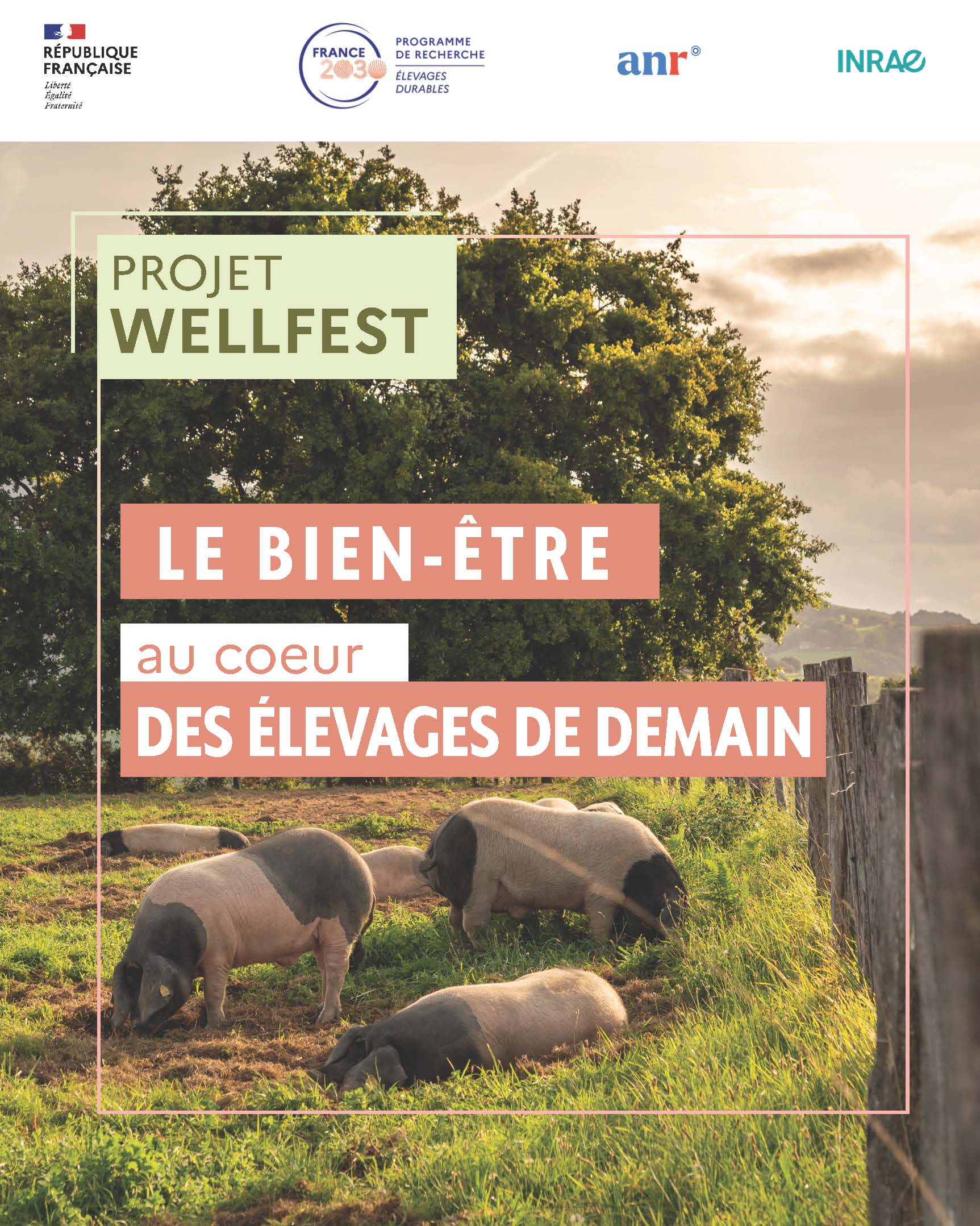 Visuelwellfest